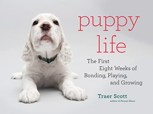 Cover of Puppy Life: The First Eight Weeks of Bonding, Playing, and Growing