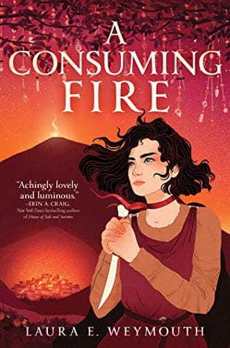 Cover of A Consuming Fire