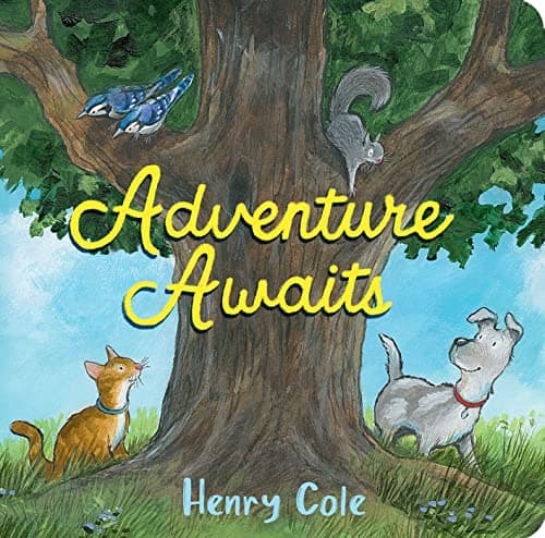 Cover of Adventure Awaits
