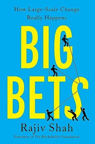 Cover of Big Bets: How Large-Scale Change Really Happens