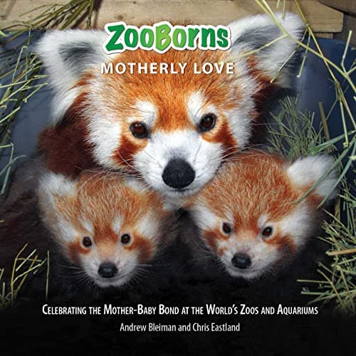 Cover of ZooBorns Motherly Love: Celebrating the Mother-Baby Bond at the World's Zoos and Aquariums
