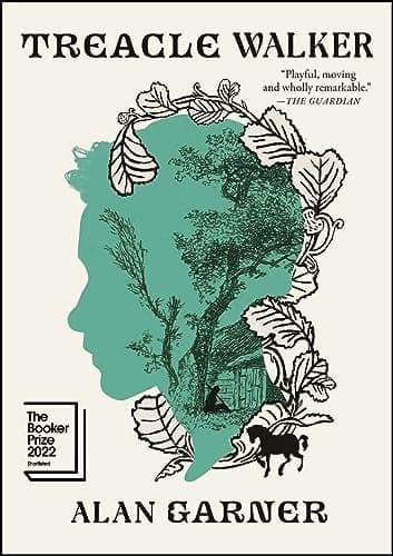 Cover of Treacle Walker