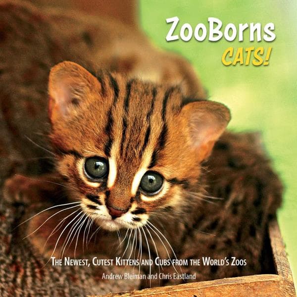 Cover of Cats! The Newest, Cutest Kittens and Cubs From the World's Zoos (ZooBorns)