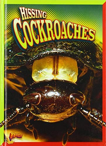 Cover of Hissing Cockroaches (Crawly Creatures)
