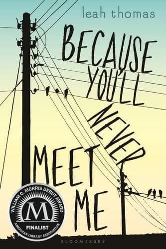 Cover of Because You'll Never Meet Me