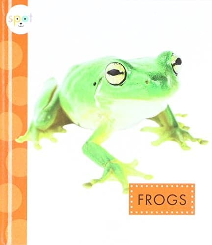 Cover of Frogs (Spot Backyard Animals)