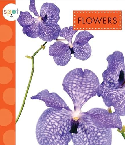 Cover of Flowers (Spot Awesome Nature)
