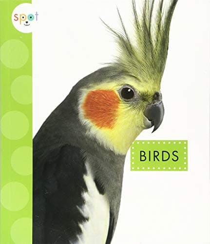Cover of Birds (Spot Pets)