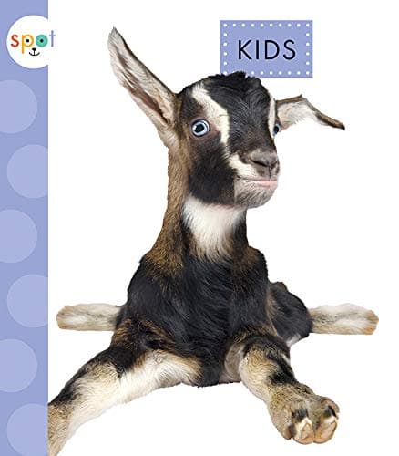 Cover of Kids (Spot Baby Farm Animals)