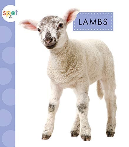 Cover of Lambs (Spot Baby Farm Animals)