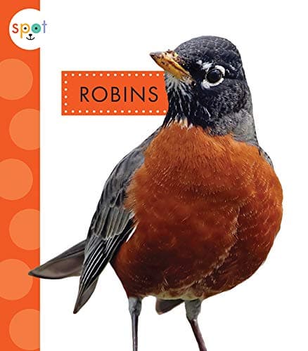 Cover of Robins (Spot Backyard Animals)