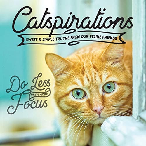 Cover of Catspirations: Sweet & Simple Truths From Our Feline Friends