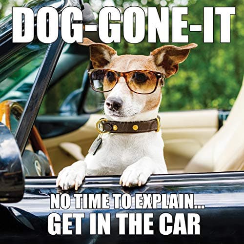 Cover of Dog-Gone-It