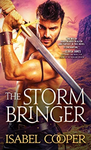 Cover of The Stormbringer (Bk. 1)