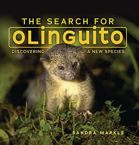 Cover of The Search for Olinguito: Discovering a New Species (Sandra Markle's Science Discoveries)