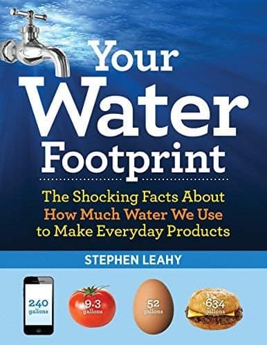 Cover of Your Water Footprint: The Shocking Facts About How Much Water We Use to Make Everyday Products