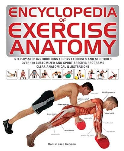 Cover of Encyclopedia of Exercise Anatomy (Anatomy of)