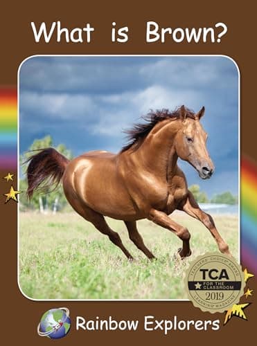 Cover of What Is Brown? (Rainbow Explorers)