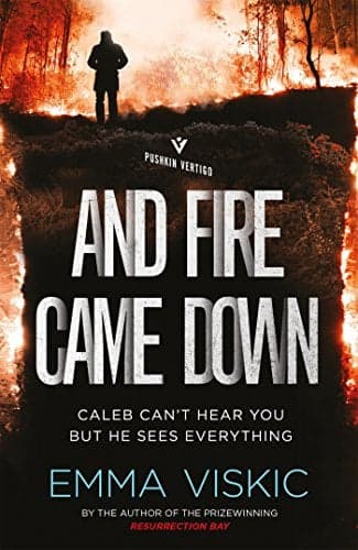 Cover of And Fire Came Down (Pushkin Vertigo)