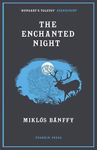 Cover of The Enchanted Night