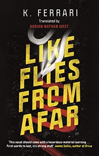 Cover of Like Flies From Afar
