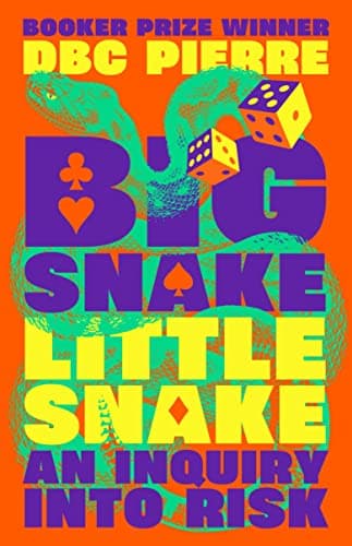 Cover of Big Snake Little Snake: An Inquiry Into Risk