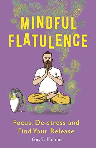 Cover of Mindful Flatulence: Find Your Focus, De-stress and Release