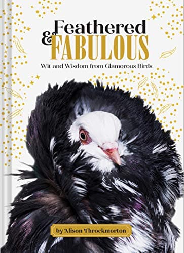 Cover of Feathered & Fabulous: Wit and Wisdom From Glamorous Birds