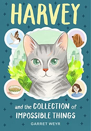 Cover of Harvey and the Collection of Impossible Things