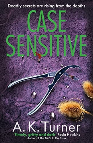 Cover of Case Sensitive (Cassie Raven Series, Bk. 3)
