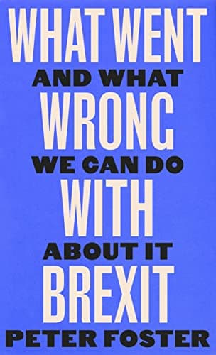 Cover of What Went Wrong With Brexit and What We Can Do About It