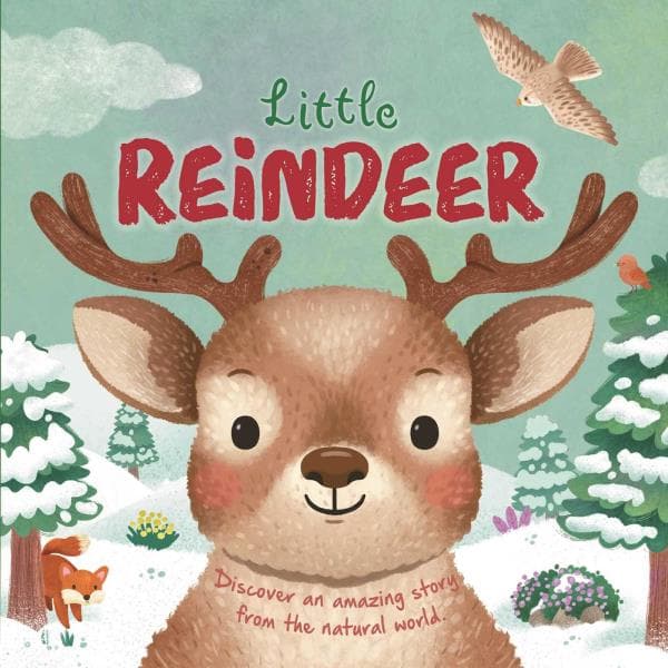 Cover of Little Reindeer (Nature Stories)