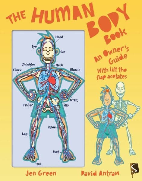 Cover of The Human Body Book: An Owner's Guide