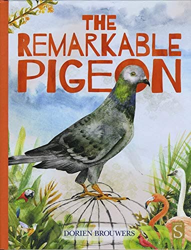 Cover of The Remarkable Pigeon