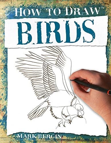 Cover of Birds (How to Draw)
