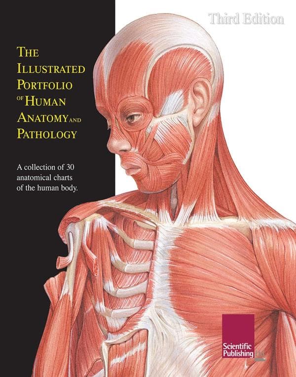 Cover of The Illustrated Portfolio of Human Anatomy and Pathology (3rd Edition)