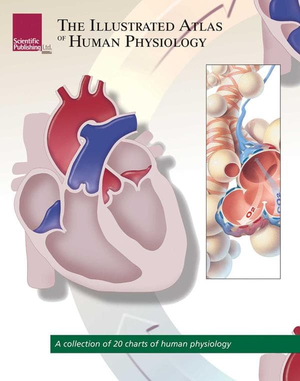 Cover of The Illustrated Atlas of Human Physiology (Atlas Series)