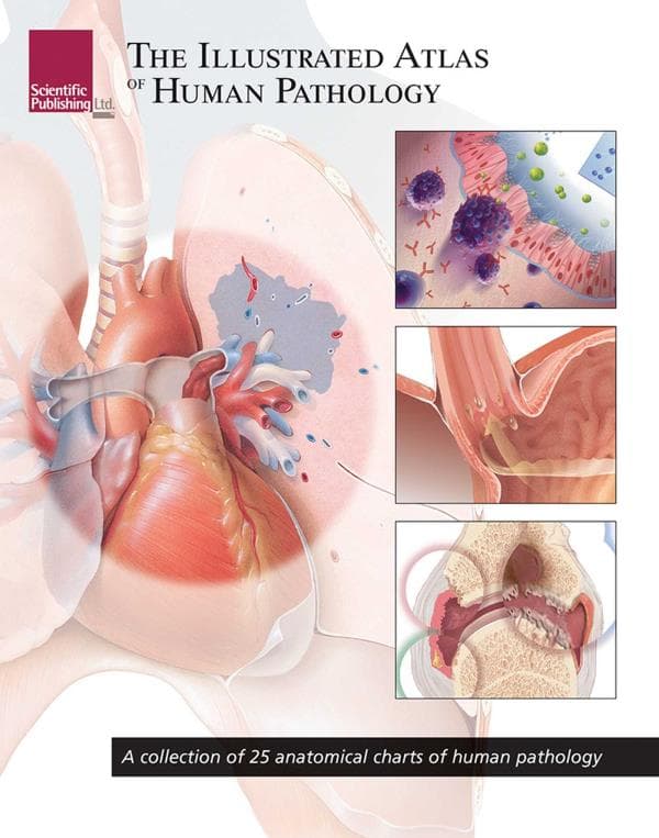 Cover of The Illustrated Atlas of Human Pathology (Atlas Series)