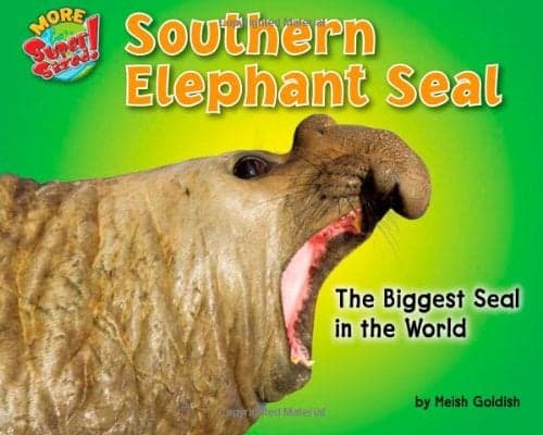 Cover of Southern Elephant Seal: The Biggest Seal in the World (More Supersized!)
