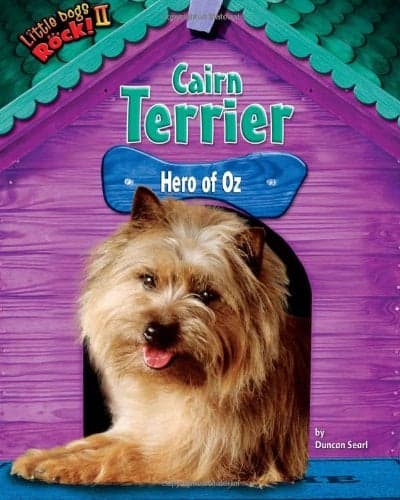 Cover of Cairn Terrier: Hero of Oz (Little Dogs Rock! II)