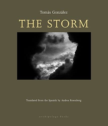 Cover of The Storm