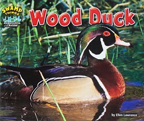 Cover of Wood Duck (Swamp Things: Animal Life in a Wetland)