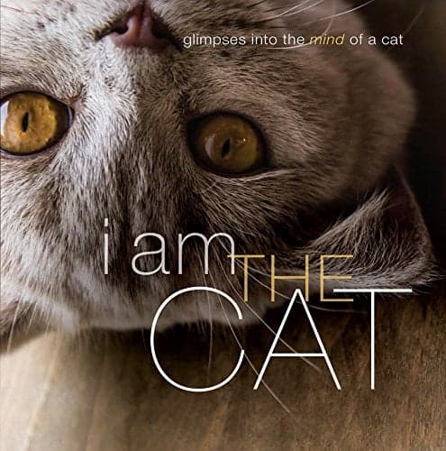 Cover of I Am the Cat