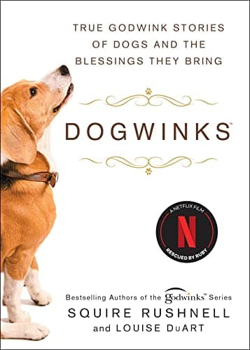 Cover of Dogwinks: True Godwink Stories of Dogs and the Blessings They Bring (The Godwink Series, BK. 6)