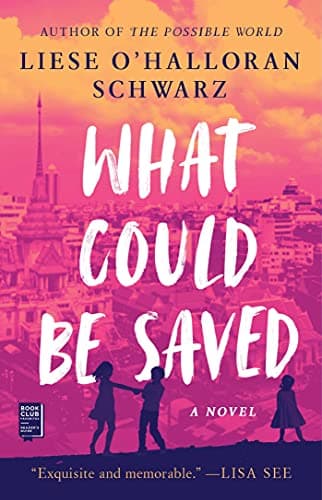 Cover of What Could Be Saved