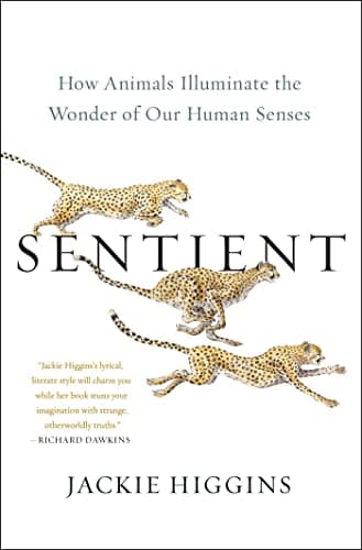 Cover of Sentient: How Animals Illuminate the Wonder of Our Human Senses