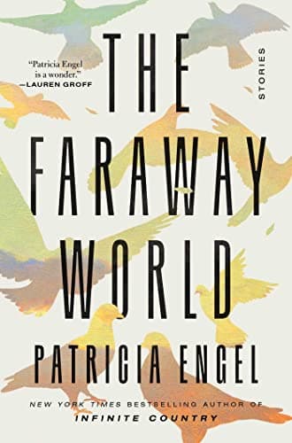Cover of The Faraway World: Stories
