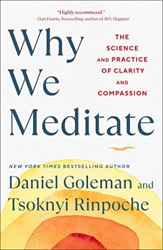Cover of Why We Meditate: The Science and Practice of Clarity and Compassion