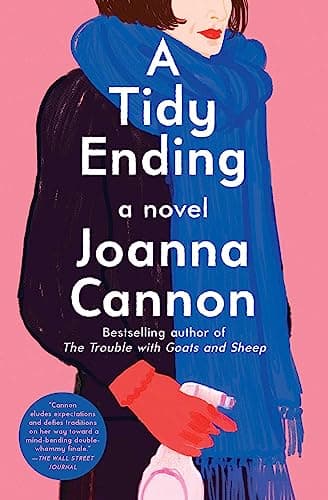 Cover of A Tidy Ending