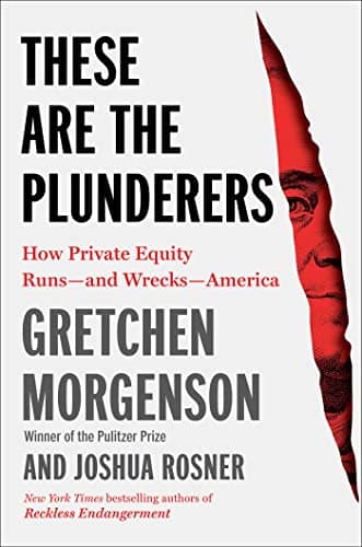 Cover of These Are the Plunderers: How Private Equity Runs—and Wrecks—America